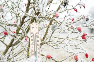 Meteorologové varují: Přichází mráz tak silný, že vám zmrzne i ranní myšlenka
